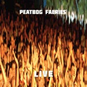 cover image for Peatbog Faeries - Live
