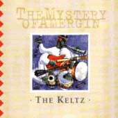 cover image for The Keltz - The Mystery of Amergin