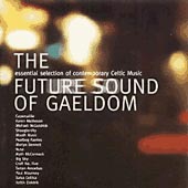 cover image for The Future Sound of Gaeldom