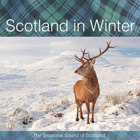 cover image for Scotland In Winter