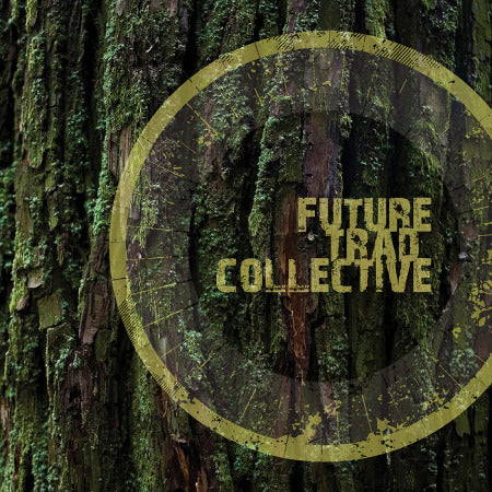 cover image for McGoldrick, Fletcher and Dinan - Future Trad Collective