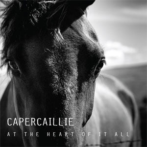 cover image for Capercaillie - At The Heart Of It All