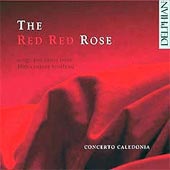 cover image for Concerto Caledonia - The Red Red Rose