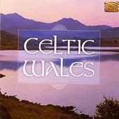 cover image for Celtic Wales