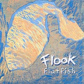 cover image for Flook - Flatfish
