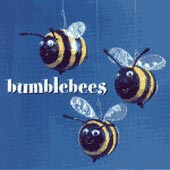 cover image for Bumblebees - Bumblebees