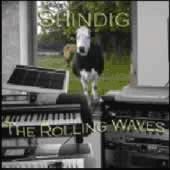 cover image for Shindig - The Rolling Waves