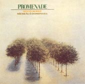 cover image for Kevin Burke and Micheal O Domhnaill - Promenade