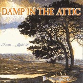 cover image for Damp In The Attic - I Was Flyin' It