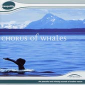 cover image for Chorus Of Whales