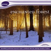 cover image for Enchanted Forest